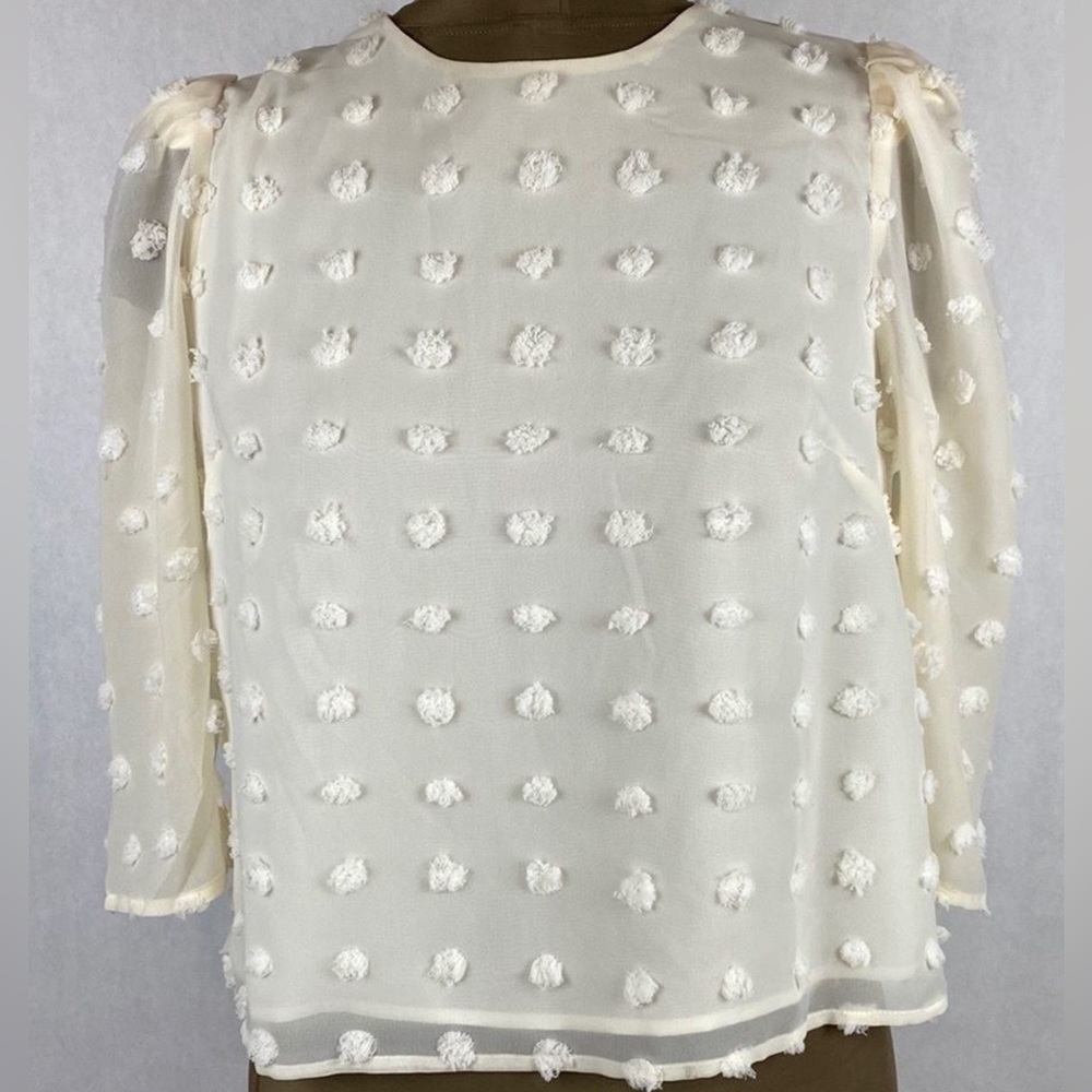 Forever 21 Sheer Blouse, Textured Polka Dots, Sz L